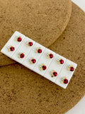 Topos Mariquita